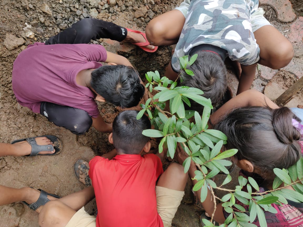 Tree Plantation = YUVA